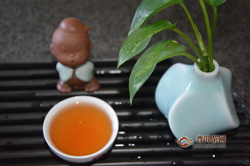 感受茶乡的香气 品味蒲门茶叶凤庆23 醇美滇红茶