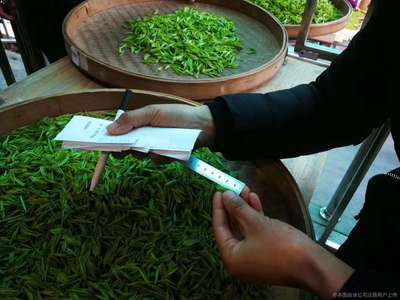 茶叶销售,茶文化传播